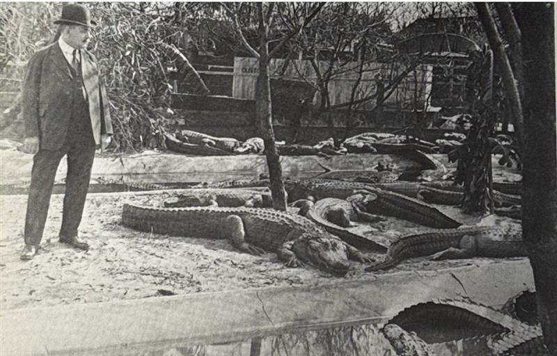 Historic alligator pools at Union Station Nashville Yards