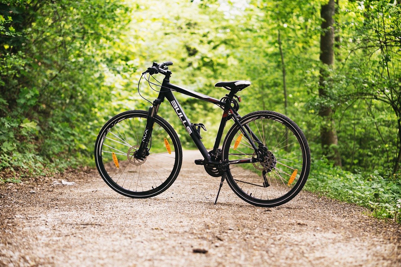 Best Hiking, Walking & Biking in Nashville, TN