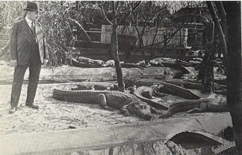 Historic alligator pools at Union Station Nashville Yards